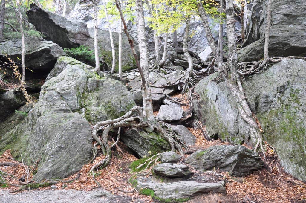 Rock Climbing Opportunities