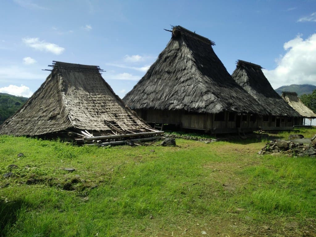wologai5