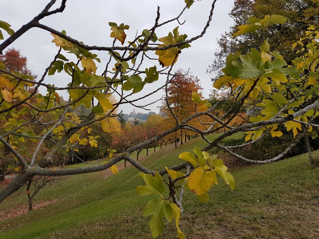 Panoramic Bologna Views