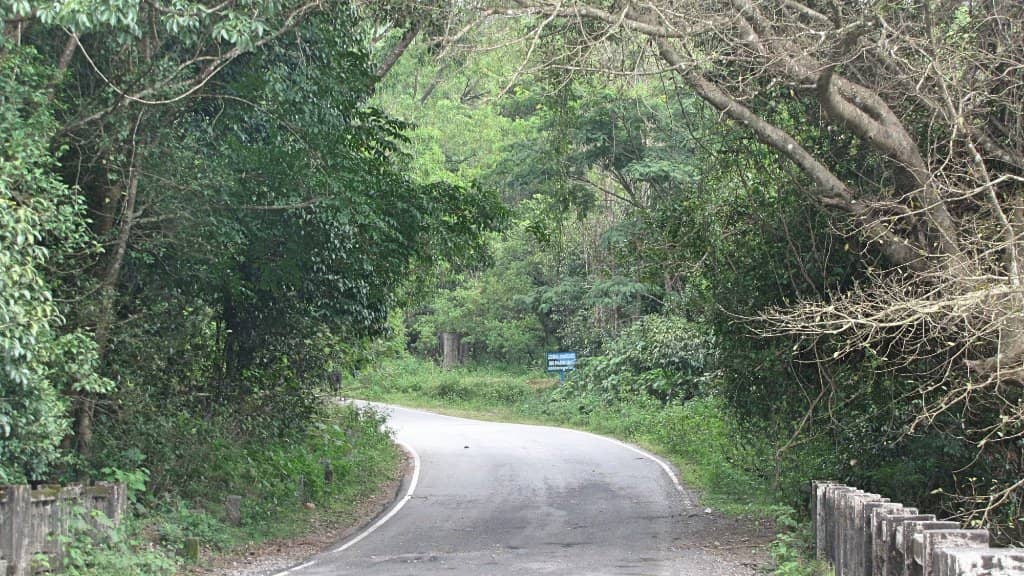 Kurinjal Peak Trek