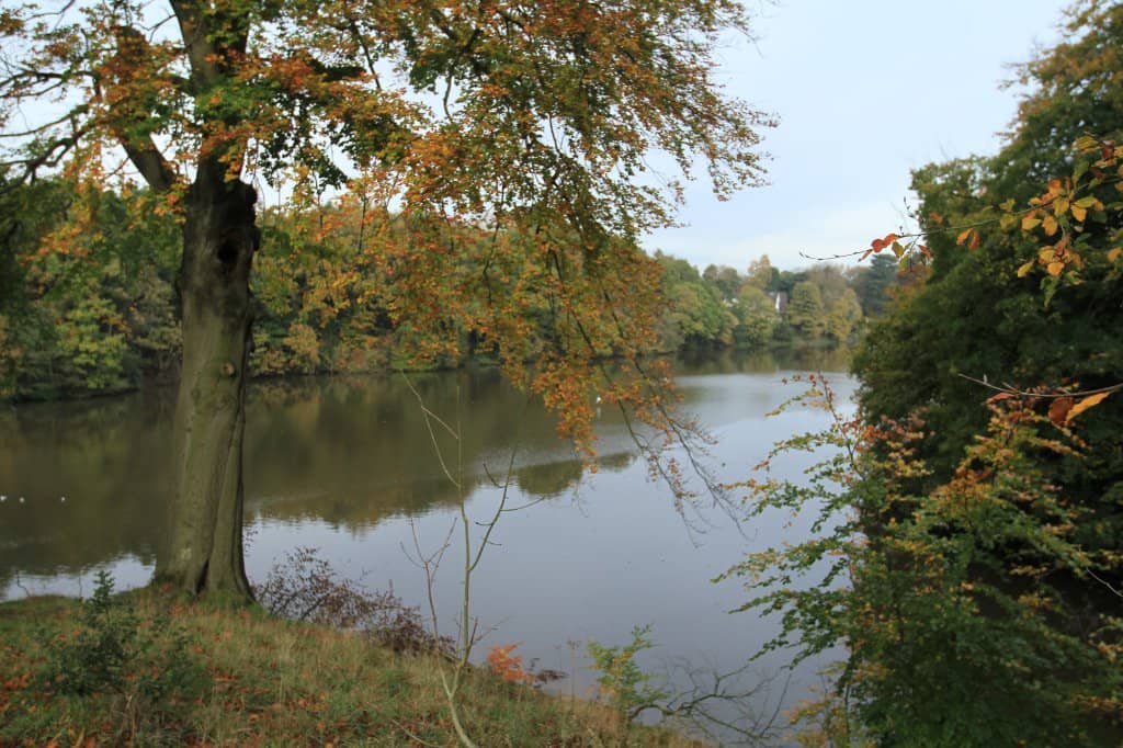 Lymm Village Charm