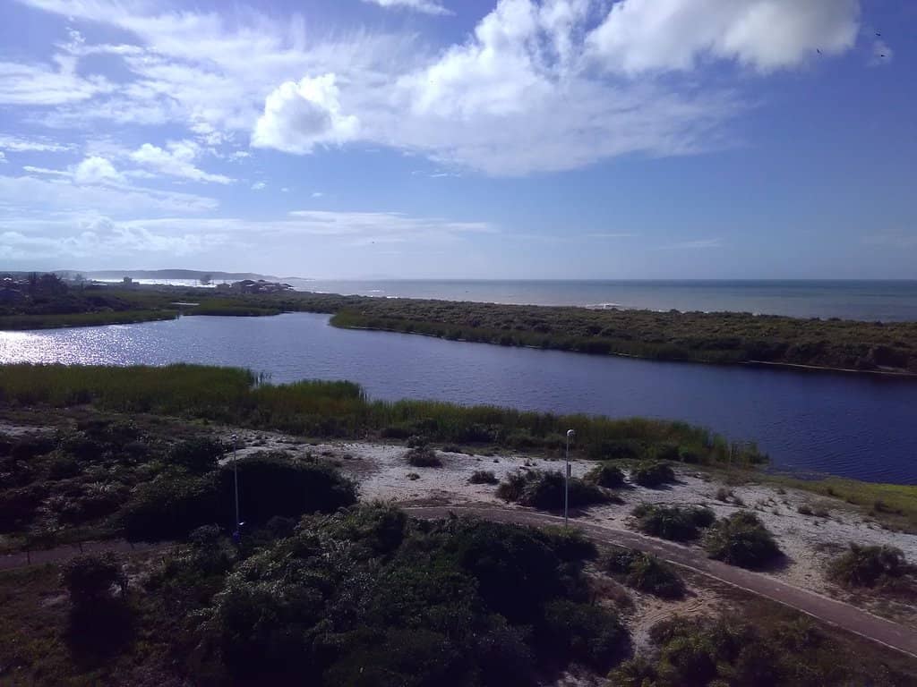 Marine Wonders
