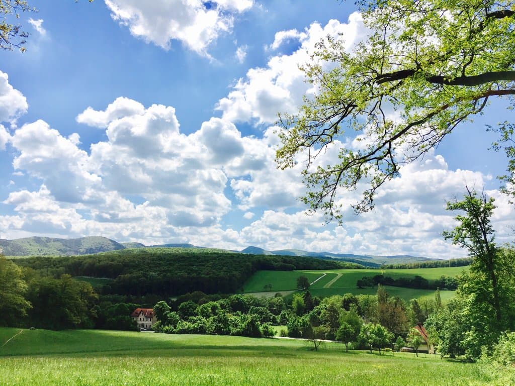 Lainzer Tiergarten Vienna
