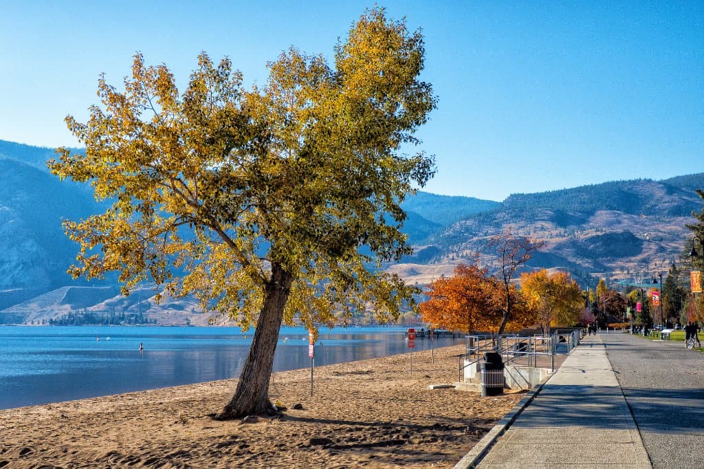 Fall colours at Skaha Lake Park while walking along the path.