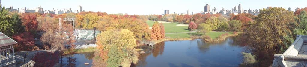 Panoramic Park Views