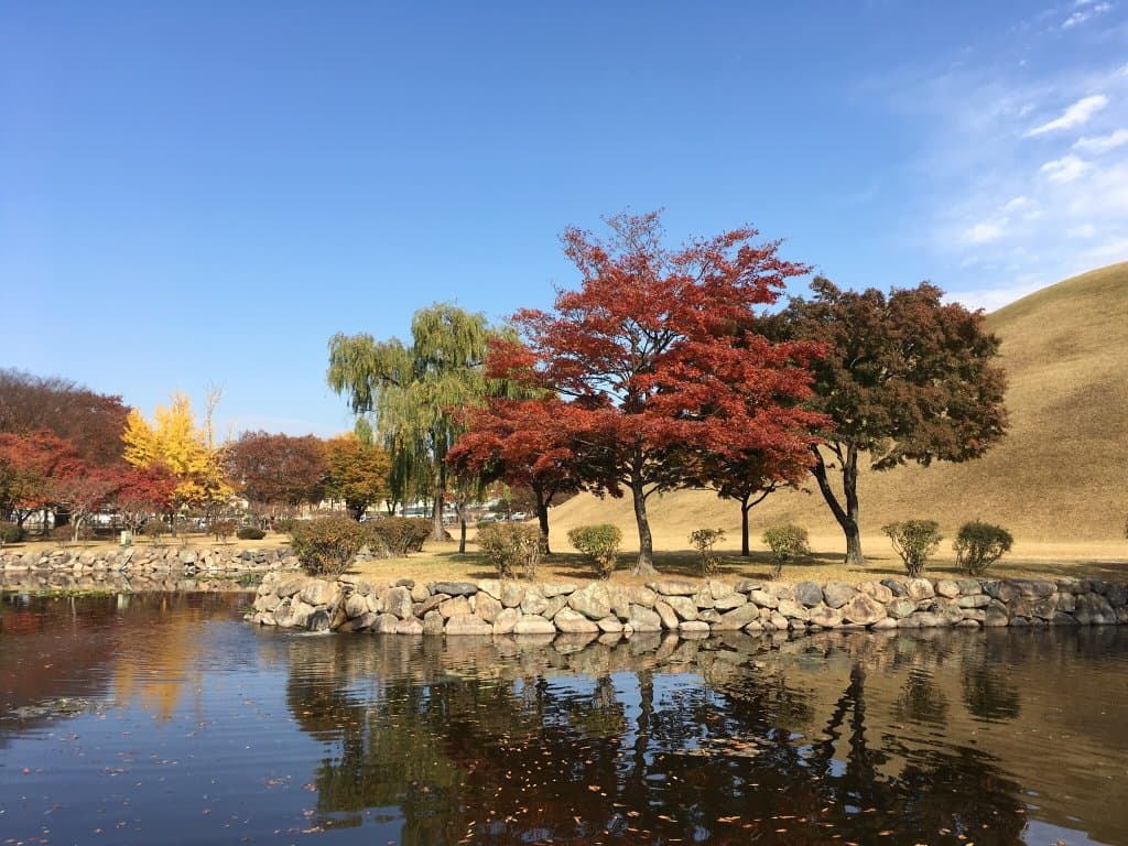 Gyeongju Tumuli Park