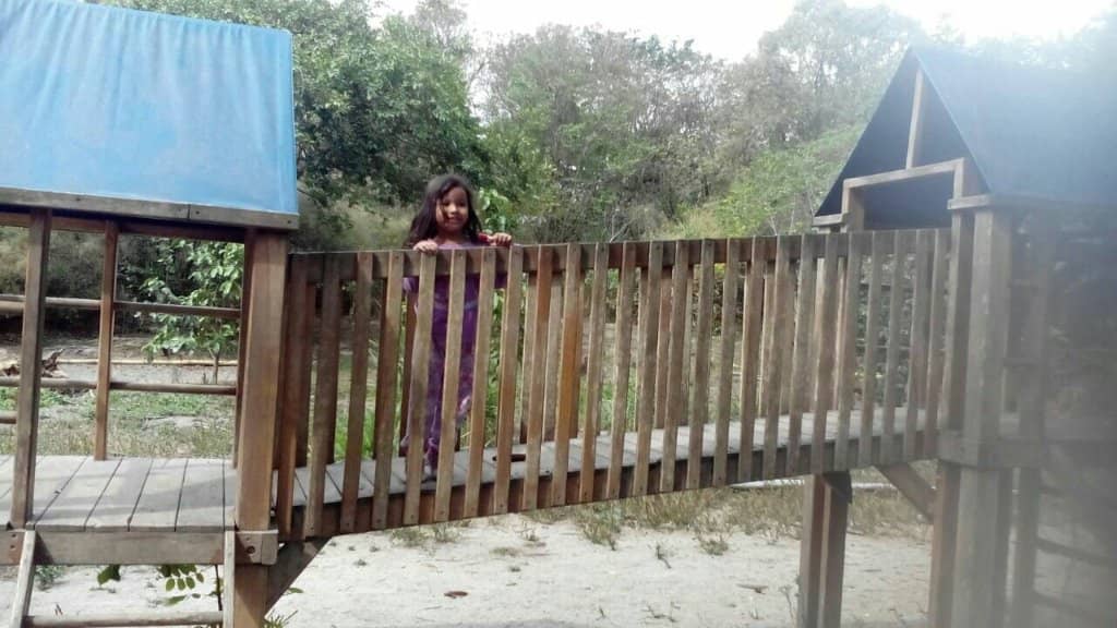 Bike Rentals & Paths