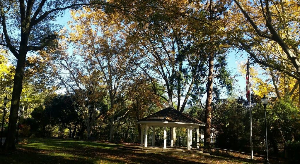 Pioneer Park Calistoga