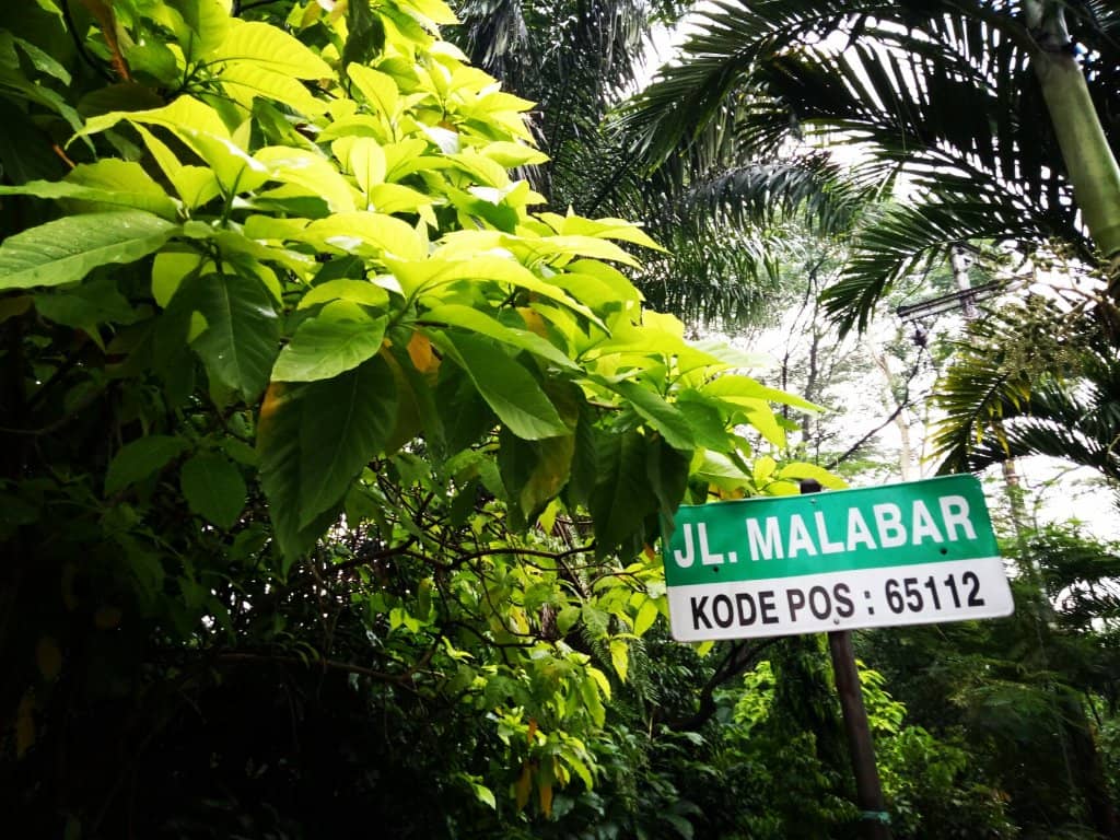 Birdwatcher's Paradise
