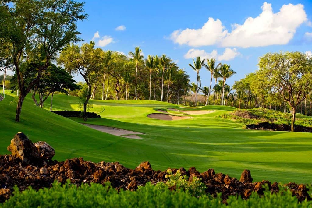 Immaculate Fairways