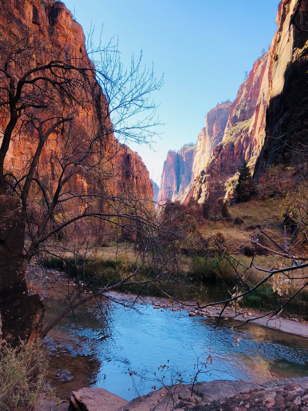 The Narrows Zion National Park