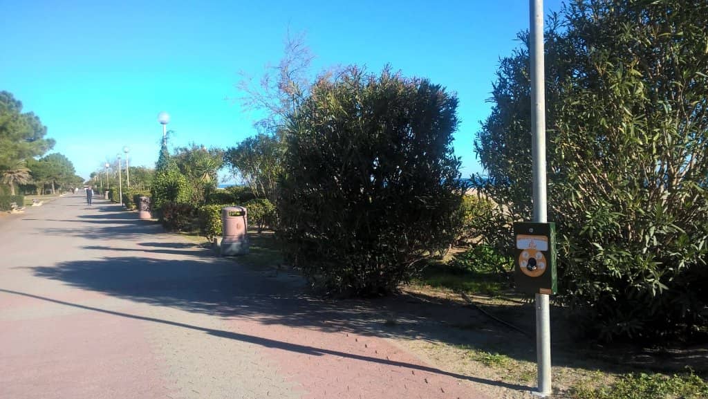 Family Beach Access