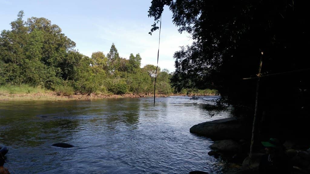 The Rapids Themselves