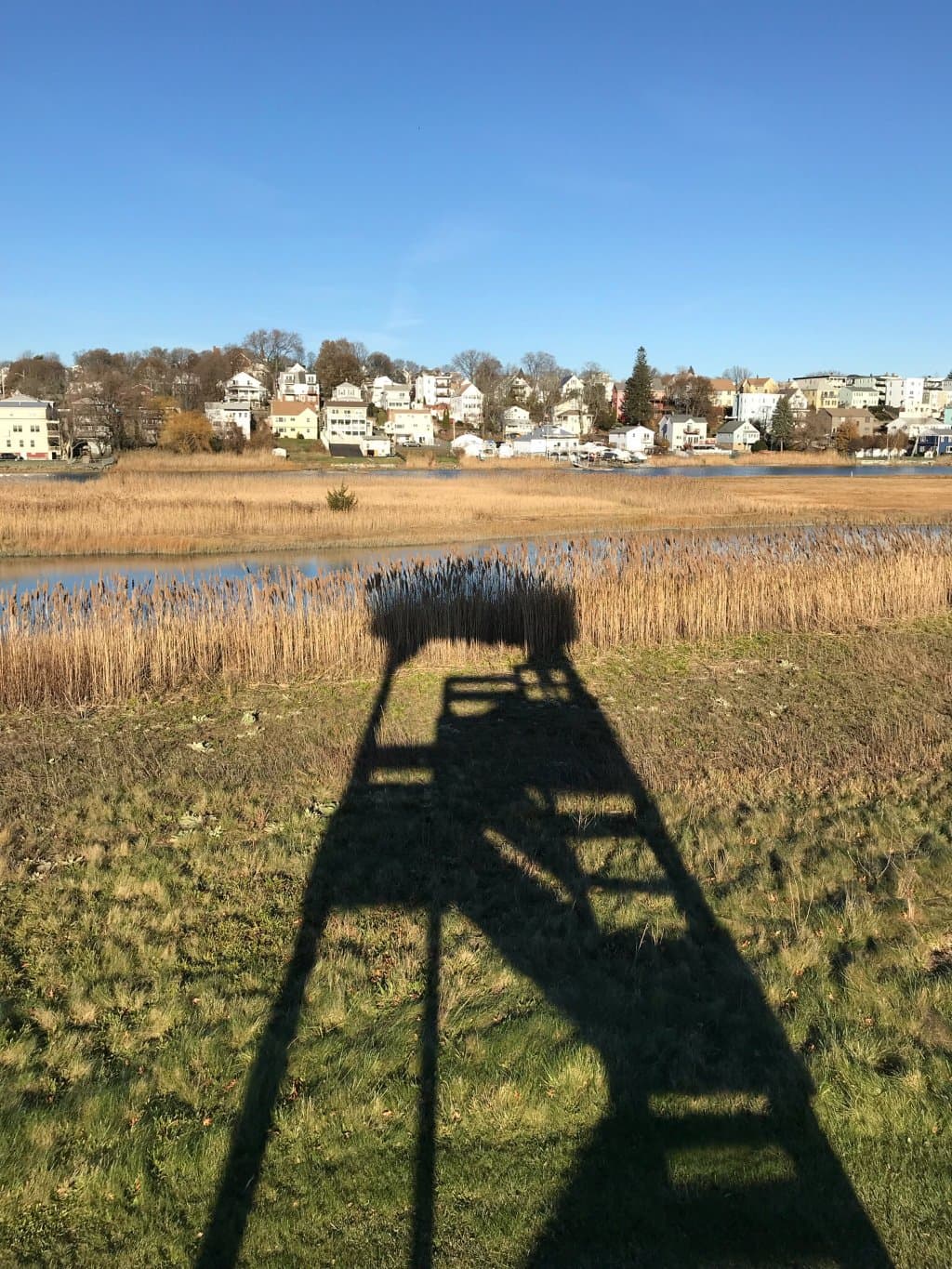 Belle Isle Marsh Reservation Boston