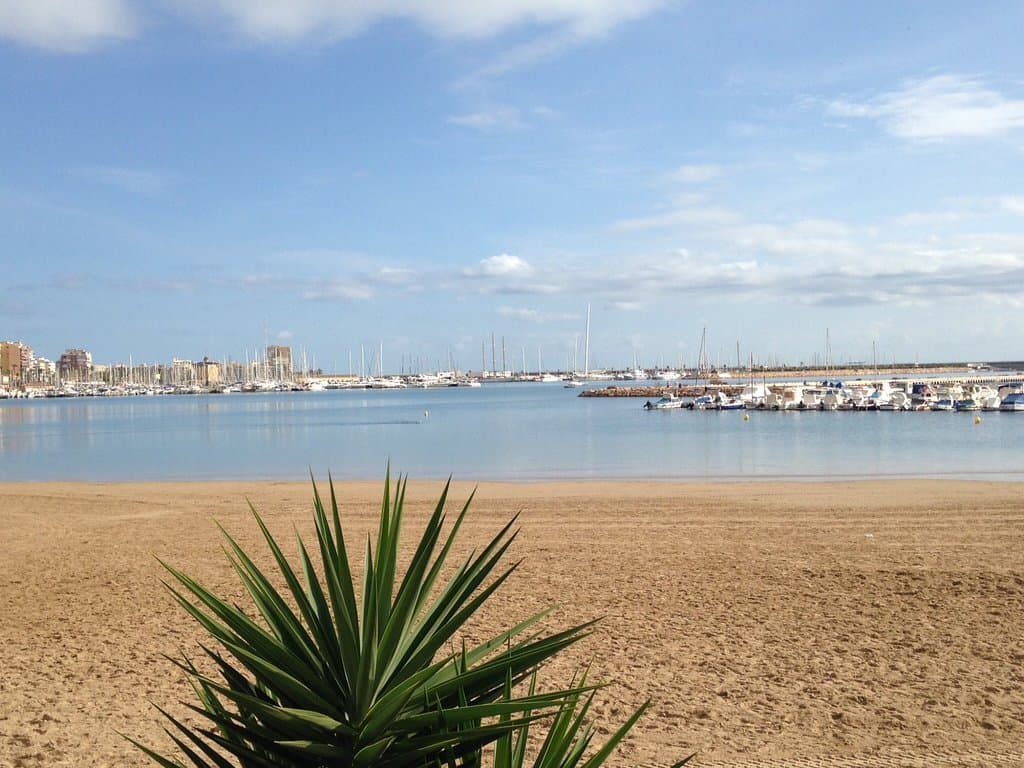Beach and marina area
