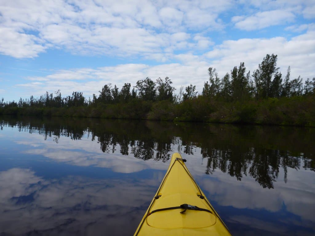 View from my kayak