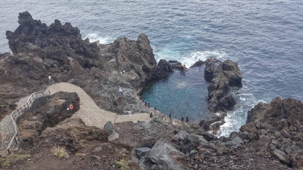 Abundant Marine Life