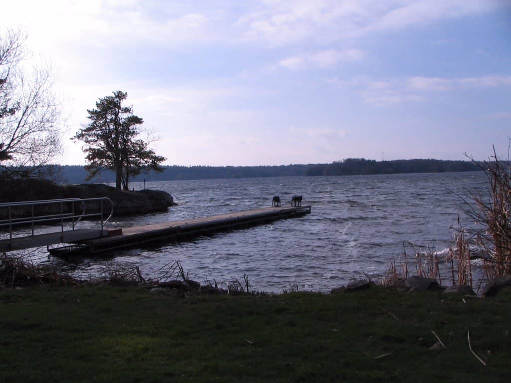 Waterfront Access & Fishing