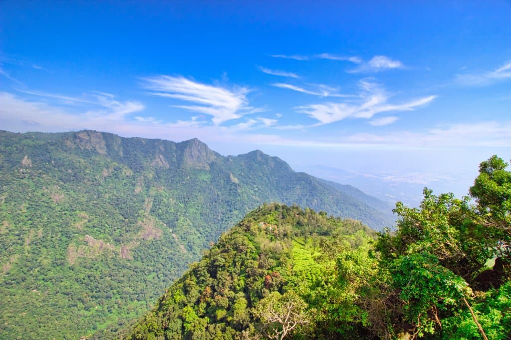 View from Dolphin's nose