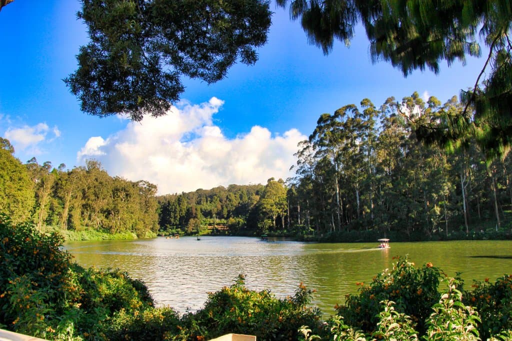 Ooty lake