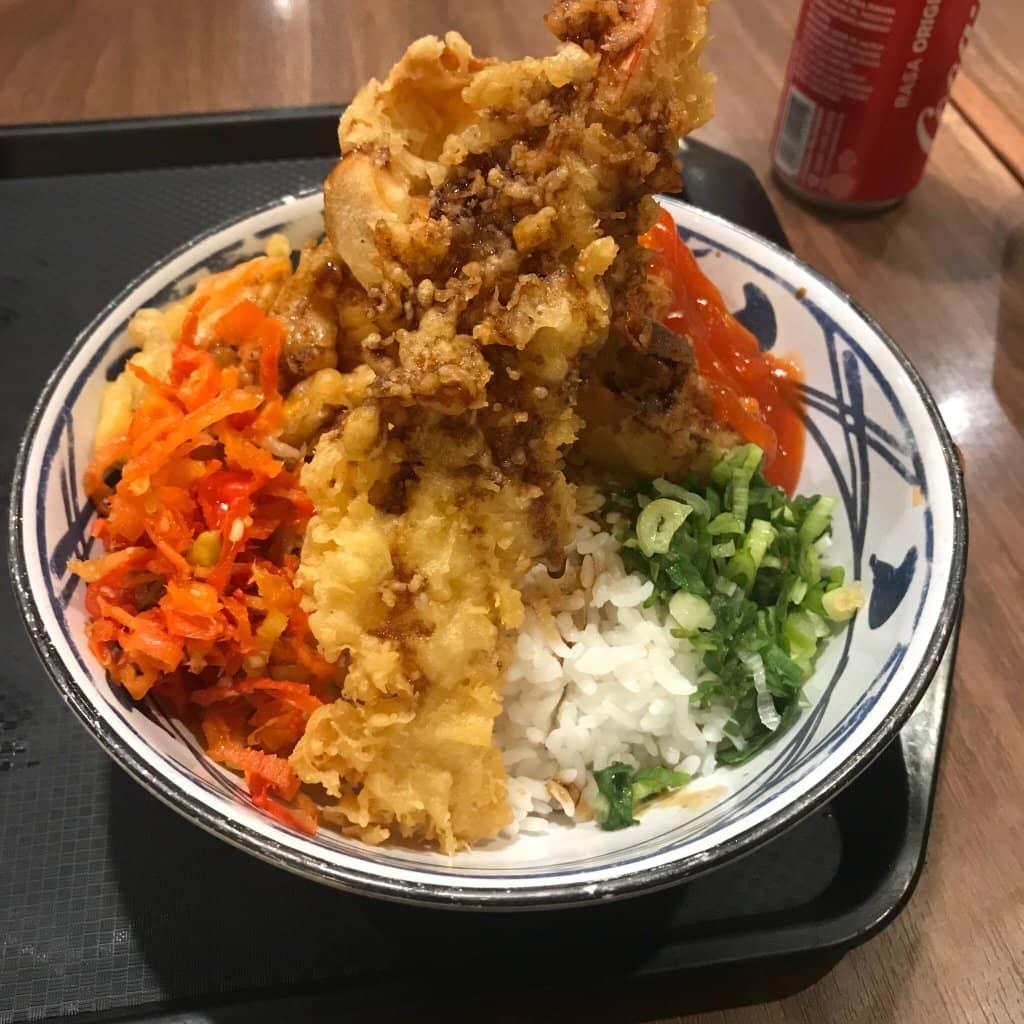 Savory Tori Baitan Udon