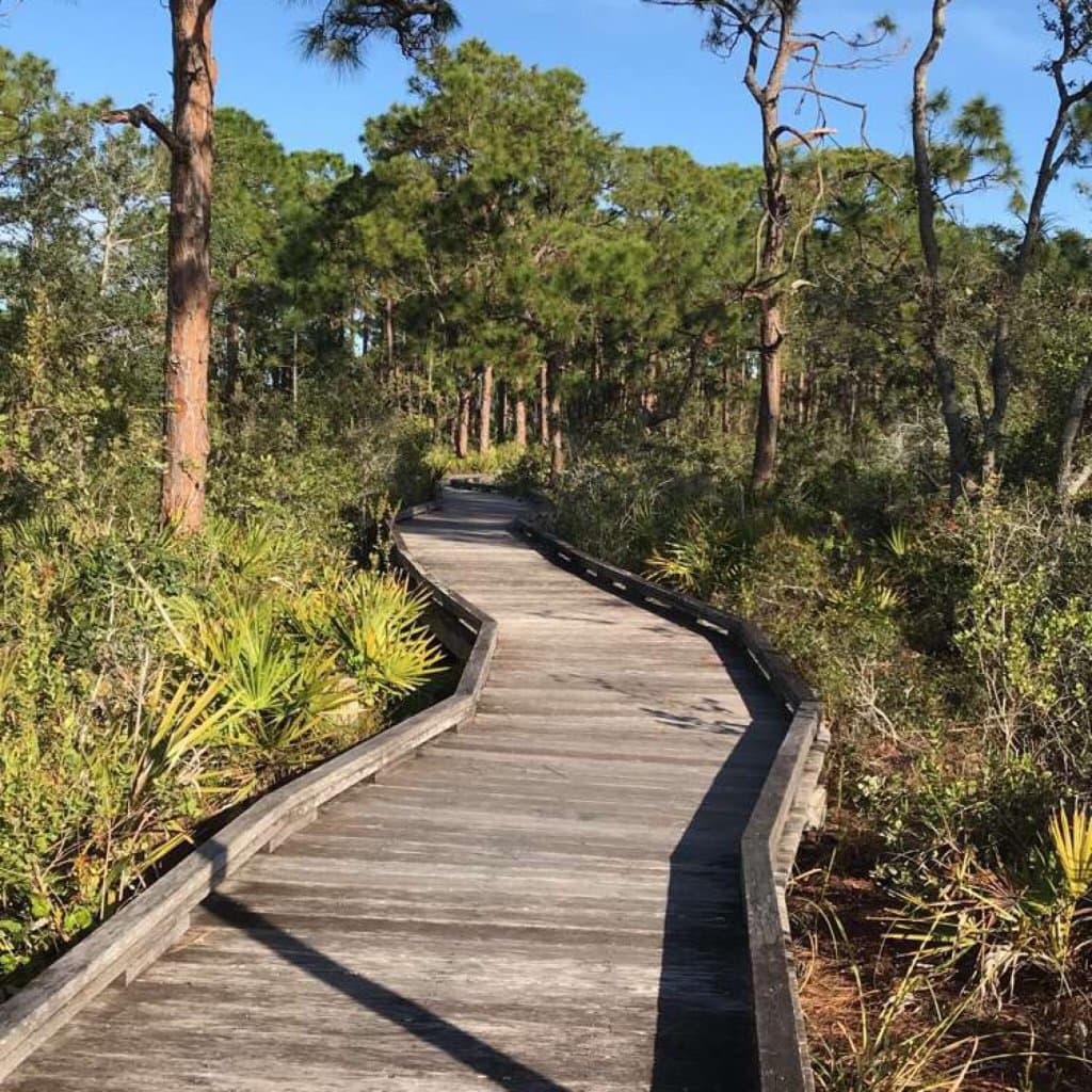 Visit the Naples Preserve
