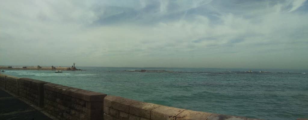 Jaffa Port Views