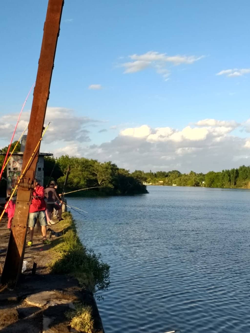 Vertical photo