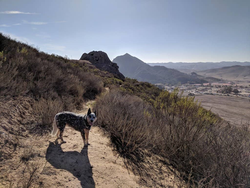 Eagle Rock Hike