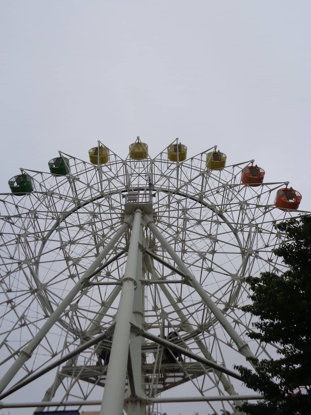 Vertical photo