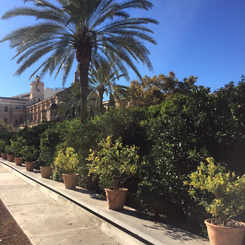 Jardín de las Hespérides