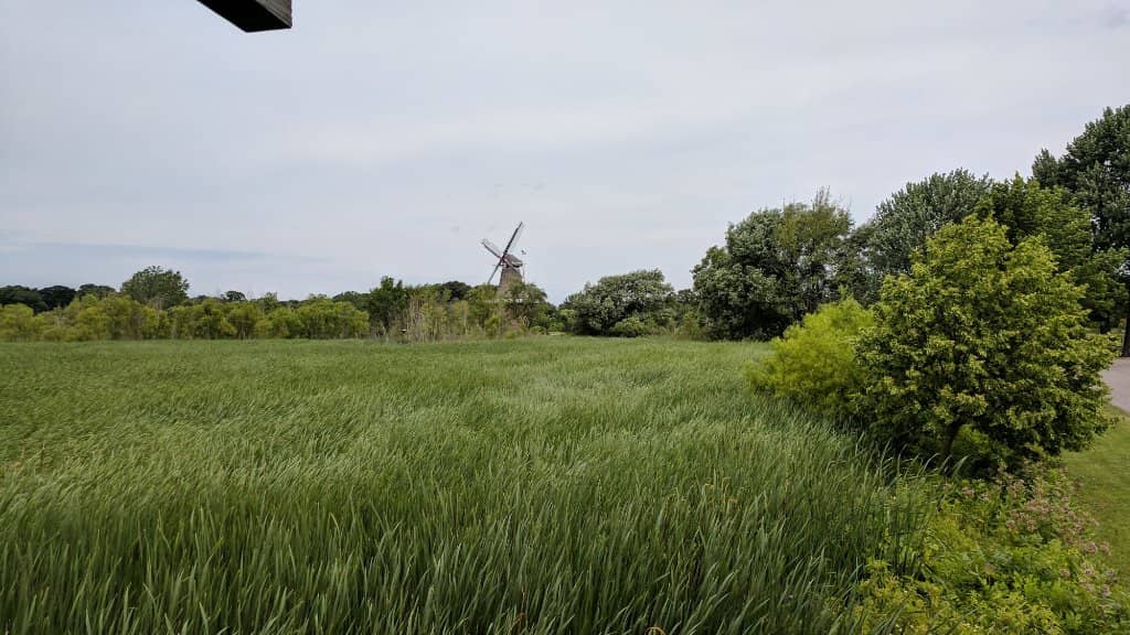 De Zwaan Windmill