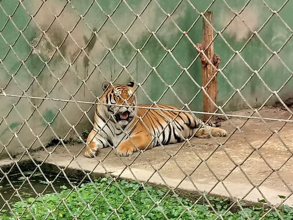 Diverse Animal Habitats