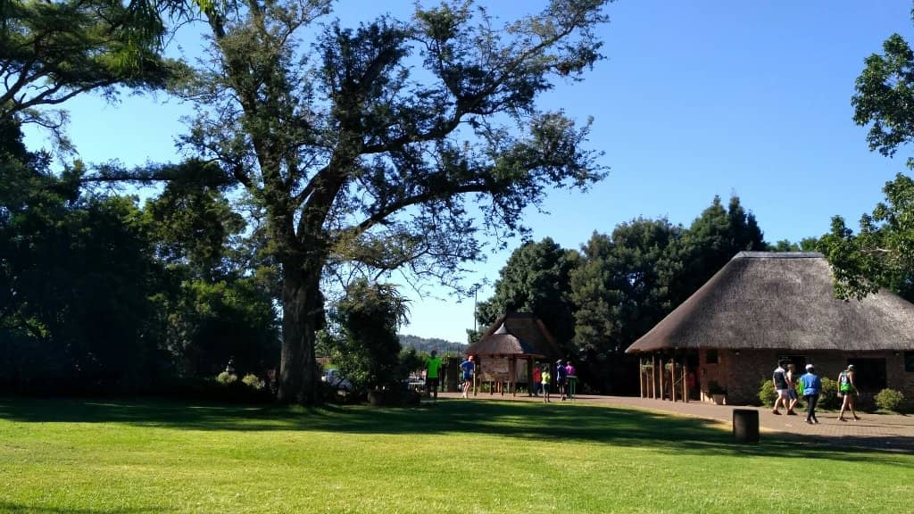 Indigenous Flora Collections