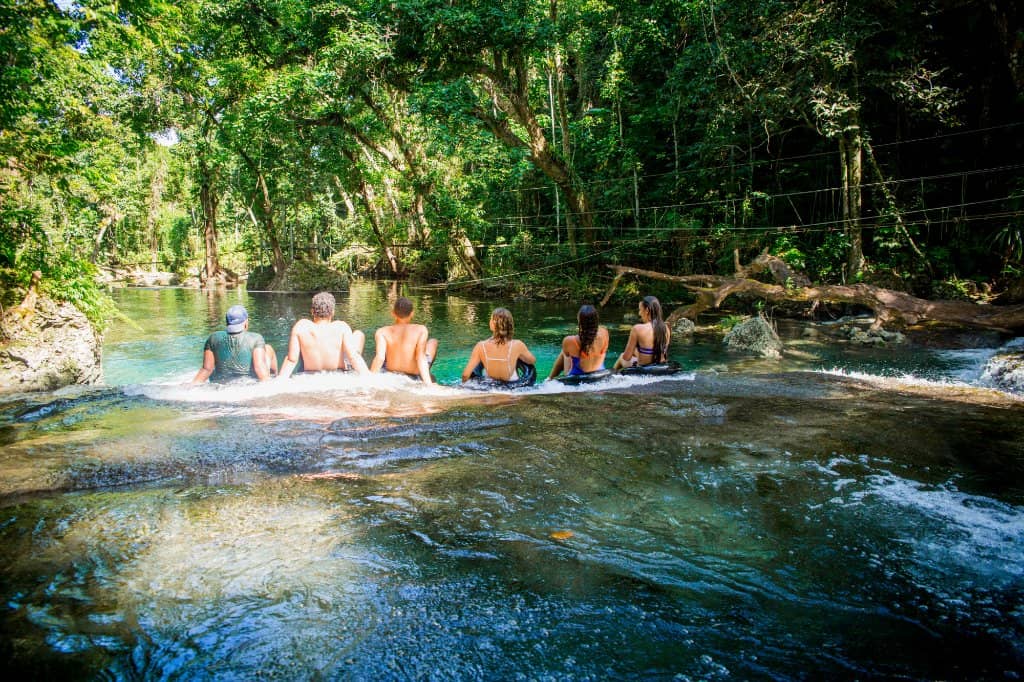 Jungle and Riparian Rainforest Walks