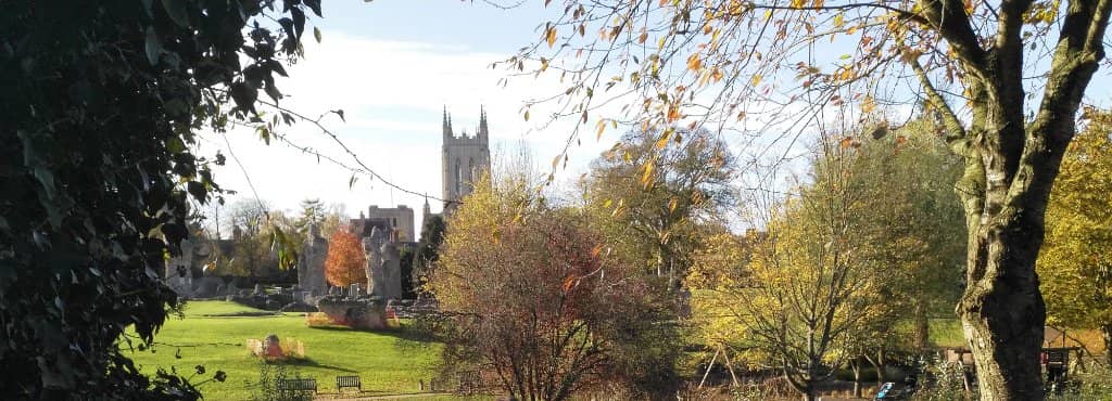 Tranquil Stream and Waterfowl