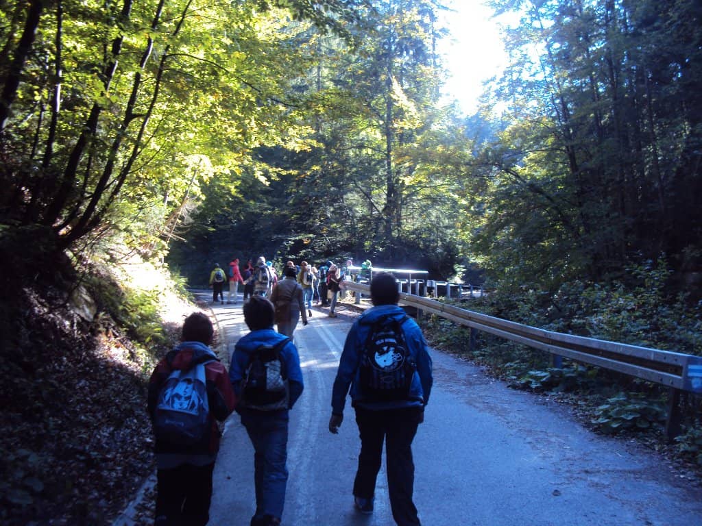 Magnificent Landscape