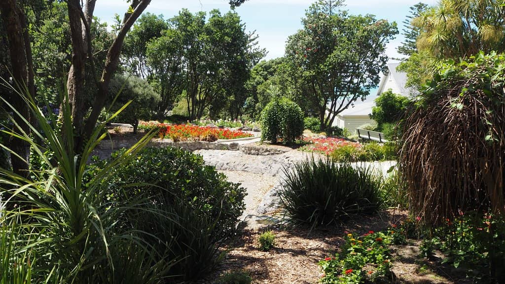 The Rose Garden