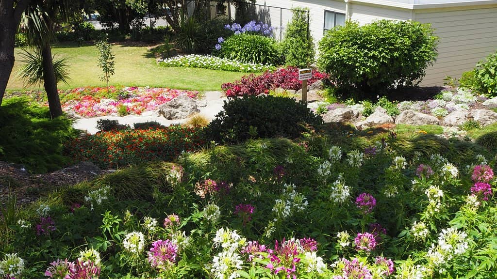 The Column Garden