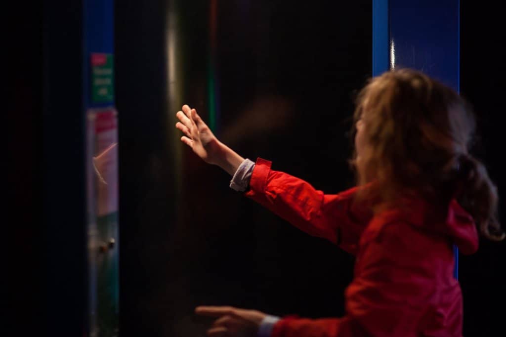 Mountain Biking Trails