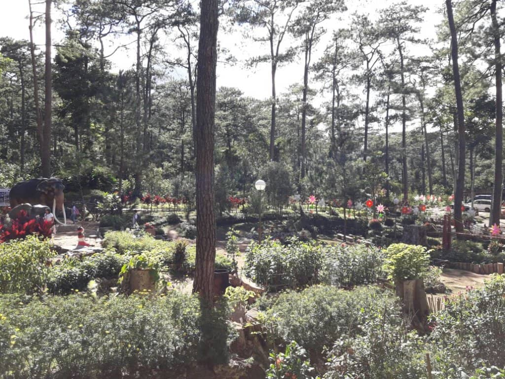 Native Huts & Igorot Culture