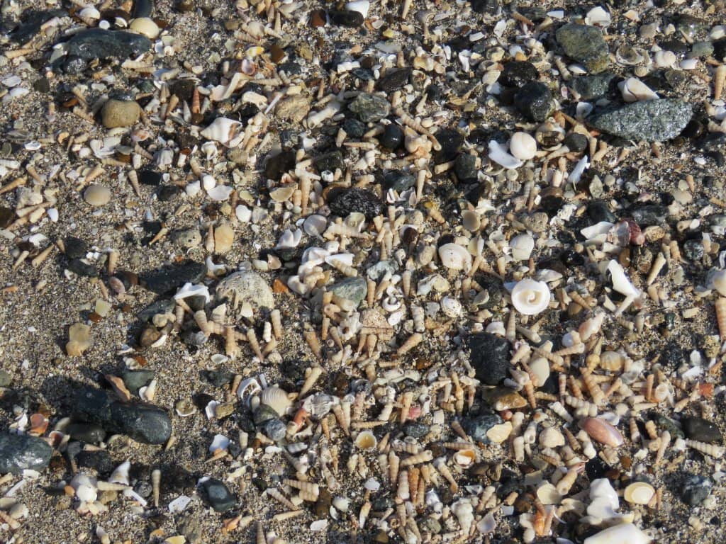 Corniche Stroll & Sunsets