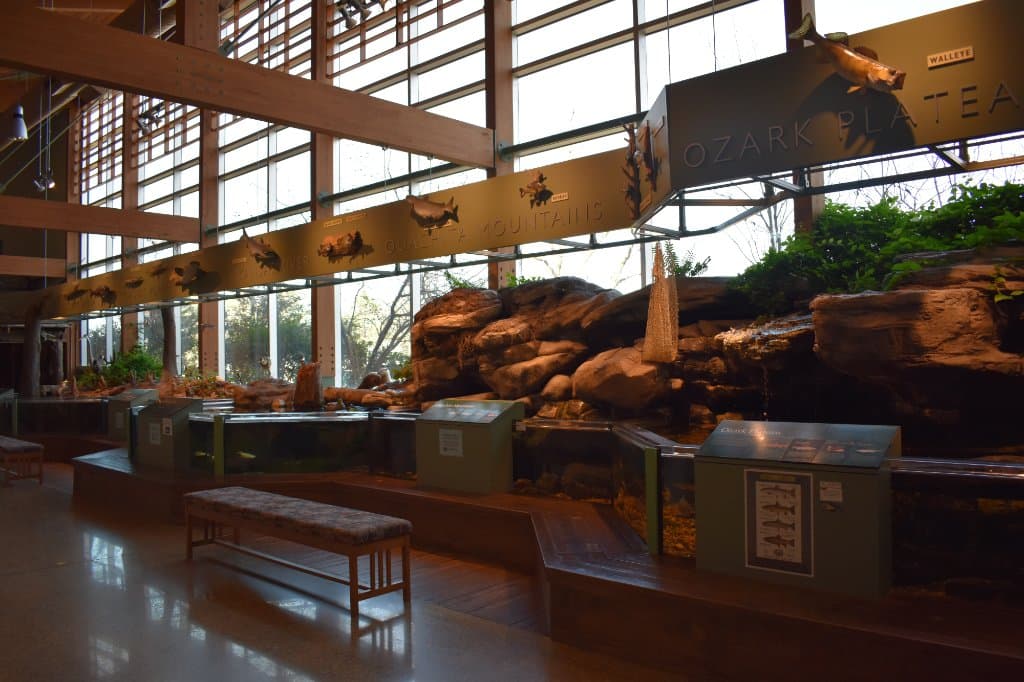 Nature Center Exhibit