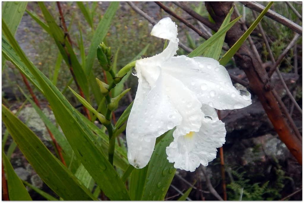 Historical Significance