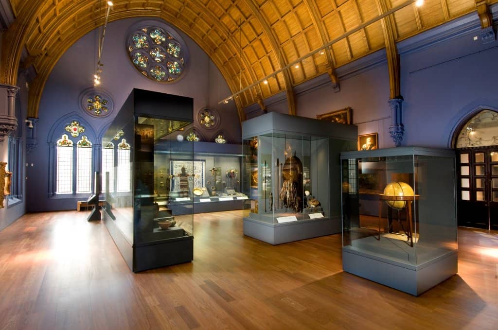 Natural History Displays