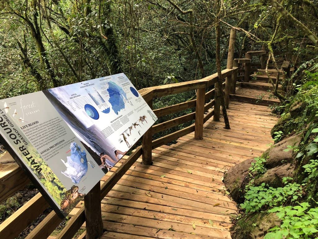 The Glass Lift Experience