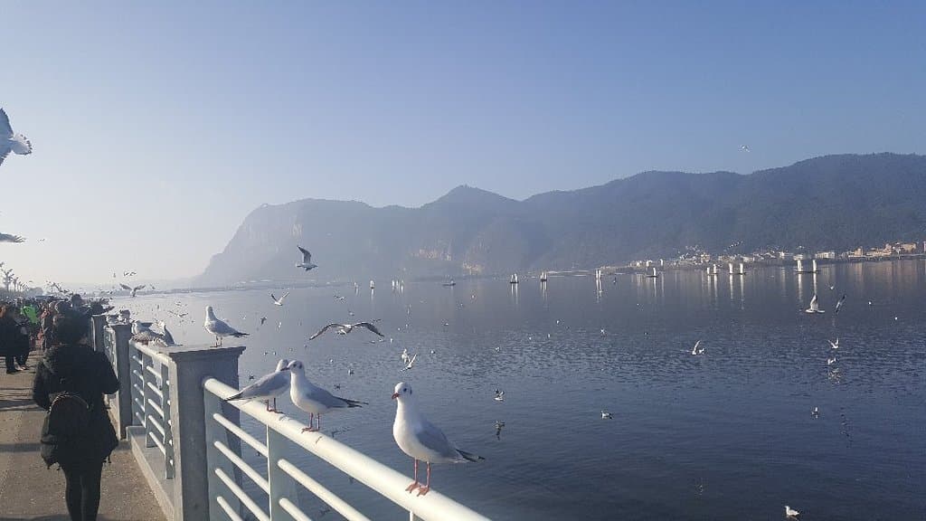 Dianchi Lake Kunming