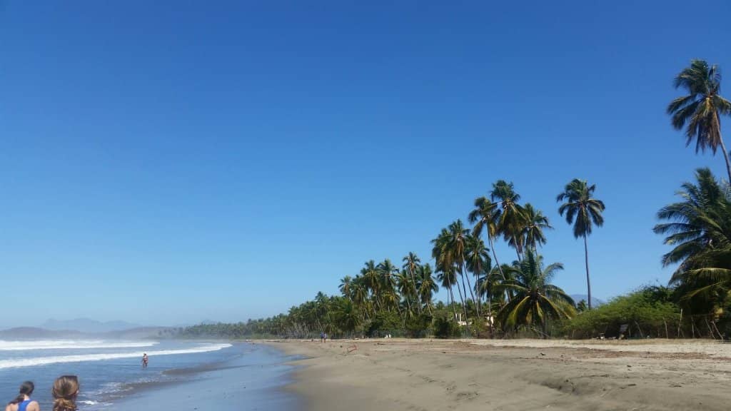Crocodile Estuary