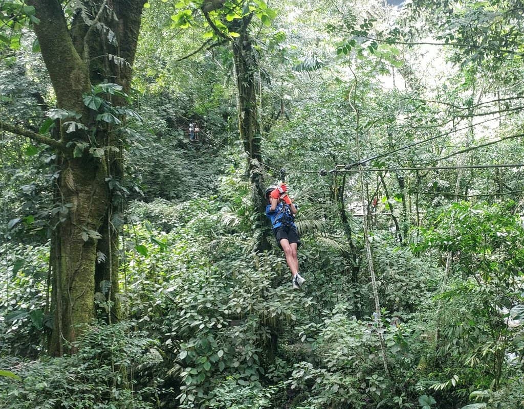 Vertical photo
