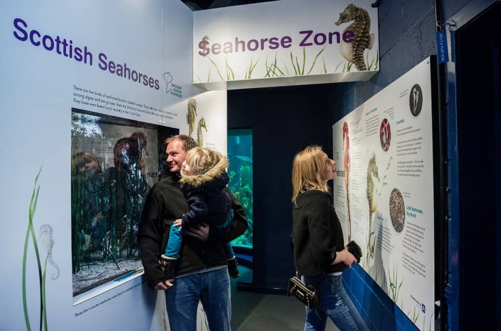 Scottish Marine Life Displays